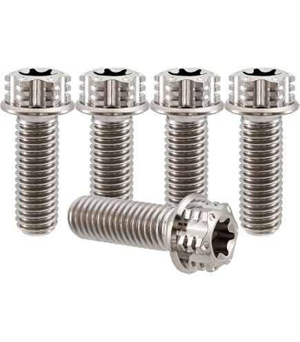 Amazon.com: RISON Titanium Bolts M10*1.25 * 25 Torx Titanium Bolts